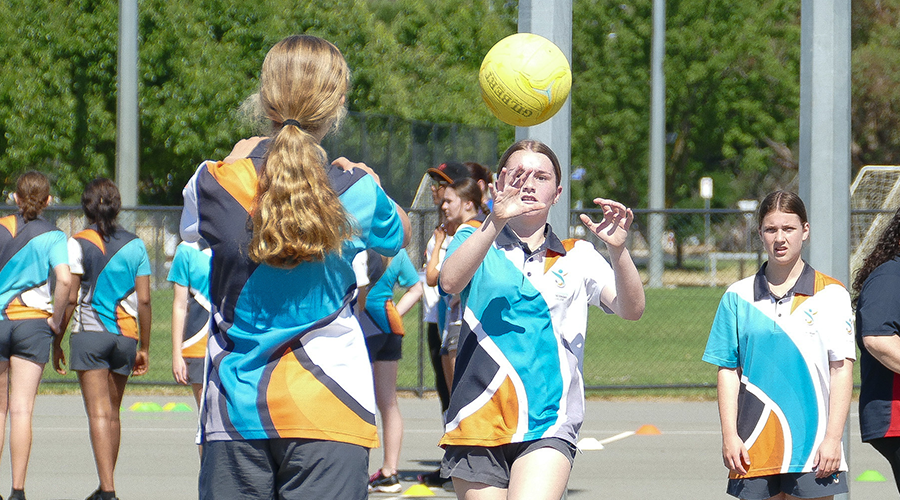 Netball Shepparton